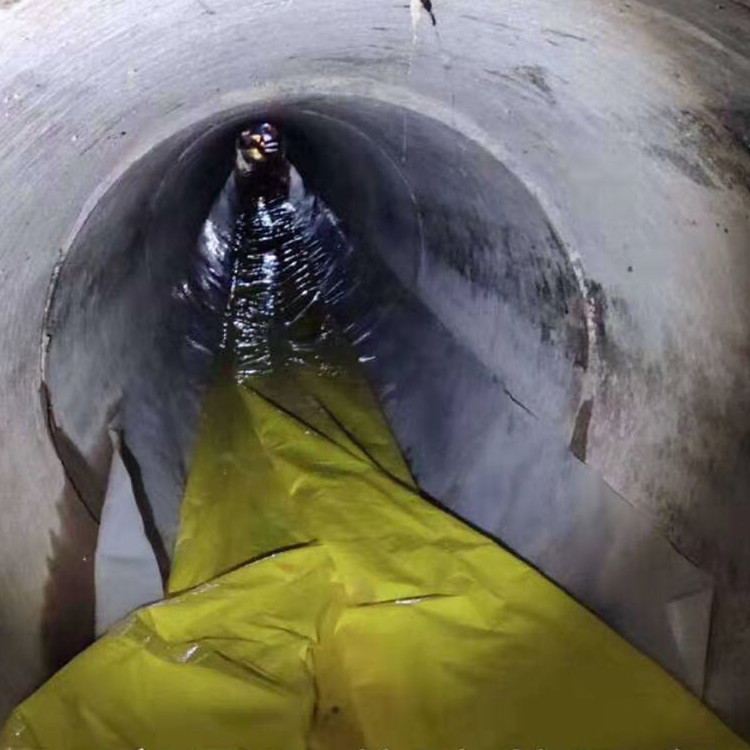 贺兰管道光固化修复